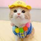 网友昵称：刚好遇见你