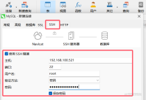记录Navicat Premium 15利用SSH隧道链接局域网数据库