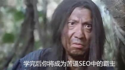 一个苦逼SEOer的自白,网站的SEO太难做了 第1张 一个苦逼SEOer的自白,网站的SEO太难做了 第1张