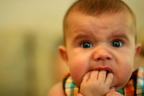 不要问我在不在,请直接说明你的来意 第1张 不要问我在不在,请直接说明你的来意 第1张