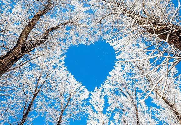 久煮火锅汤会让人中毒?朋友圈十大谣言曝光 第3张 久煮火锅汤会让人中毒?朋友圈十大谣言曝光 第3张