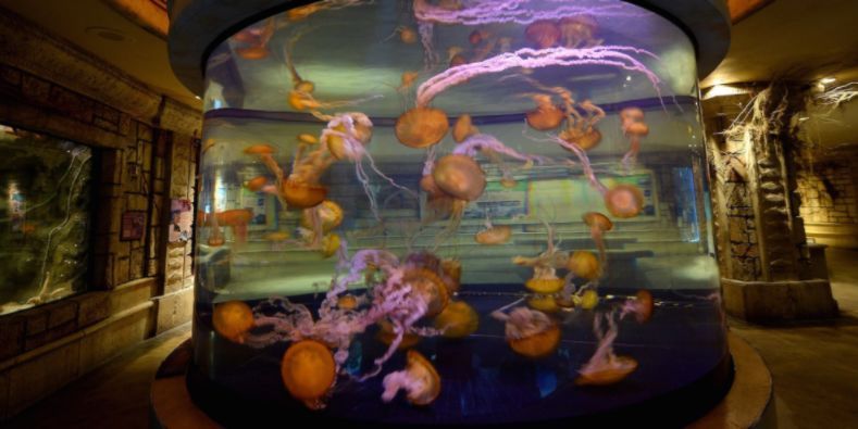 仅靠鱼缸里的温度计,黑客就黑进了赌场的内网...... 第3张 仅靠鱼缸里的温度计,黑客就黑进了赌场的内网...... 第3张