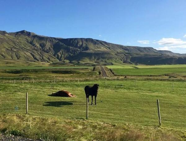 这些照片真没PS过 第22张 这些照片真没PS过 第22张