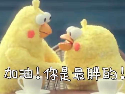 zblog首页屏蔽某个文章分类的方法 第1张 zblog首页屏蔽某个文章分类的方法 第1张