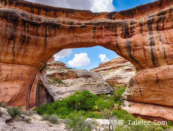 随机显示必应每日一图,API代码及调用方法 第1张 随机显示必应每日一图,API代码及调用方法 第1张