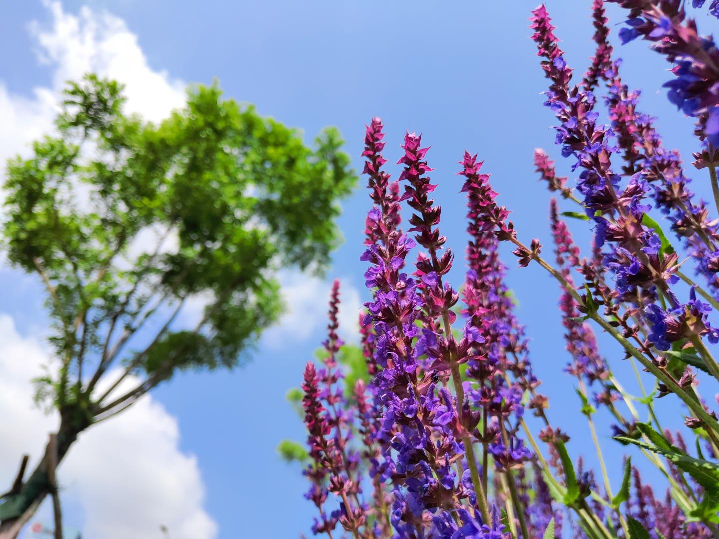 我终于卸载了火山/抖音小视频 第2张 我终于卸载了火山/抖音小视频 第2张