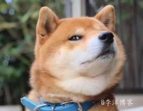 利用自定义css接口,改变文章字体行距和间距的教程 第1张 利用自定义css接口,改变文章字体行距和间距的教程 第1张