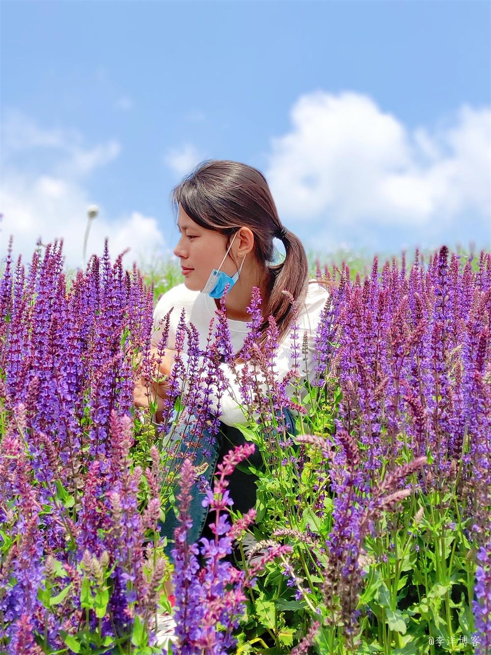 结婚4周年，既许一人以偏爱，愿尽余生之慷慨，感谢一路有你。 第11张