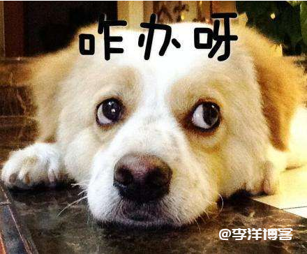 个人博客网站域名被恶意解析怎么办? 第1张 个人博客网站域名被恶意解析怎么办? 第1张